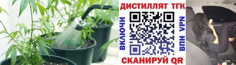 ТГК Wax где купить наркоту Междуреченск