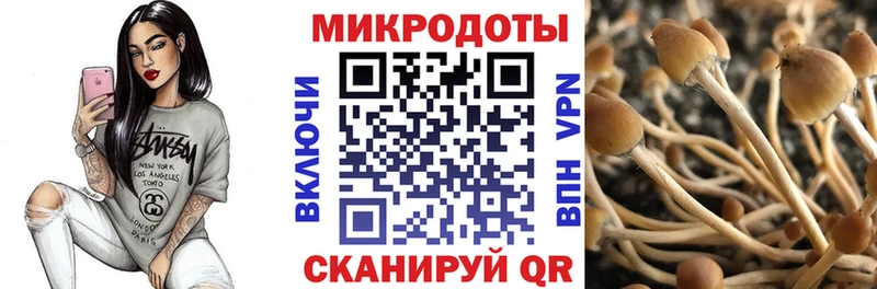 купить   Междуреченск  blacksprut маркетплейс  Псилоцибиновые грибы GOLDEN TEACHER 