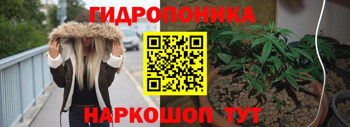 Каннабис Bruce Banner  Междуреченск  Марихуана White Widow 